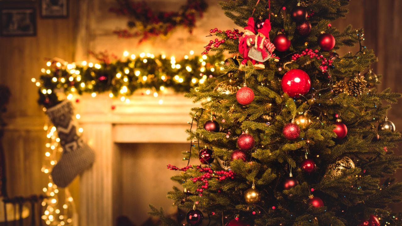 Que dia monta a árvore de Natal? Saiba se existe uma data correta. 